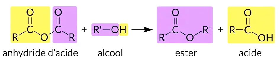 Réaction d'estérification avec un anhydride d'acide
