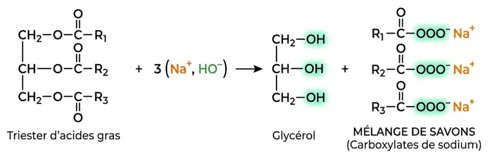 Réaction de saponification d'un triglycéride