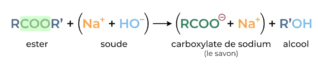 La réaction entre l'ester et la soude