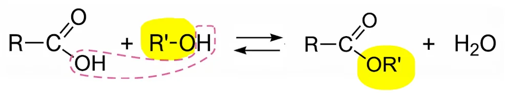 Bilan chimique de la réaction d'estérification
