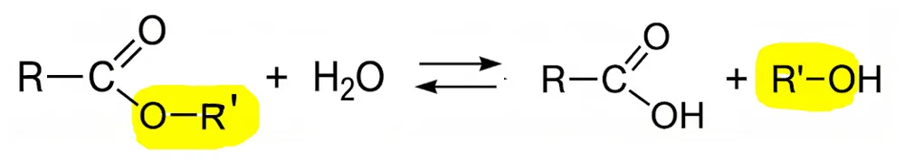 Bilan chimique de la réaction d'hydrolyse
