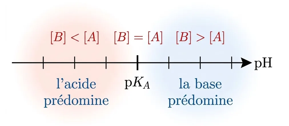 Diagramme de prédominance d'un couple acide base sur l'axe du pH