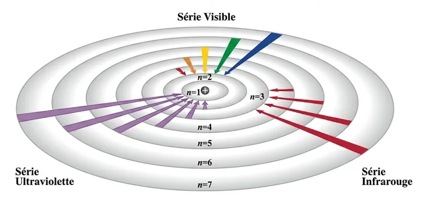 Les transitions électroniques du modèle de Bohr.