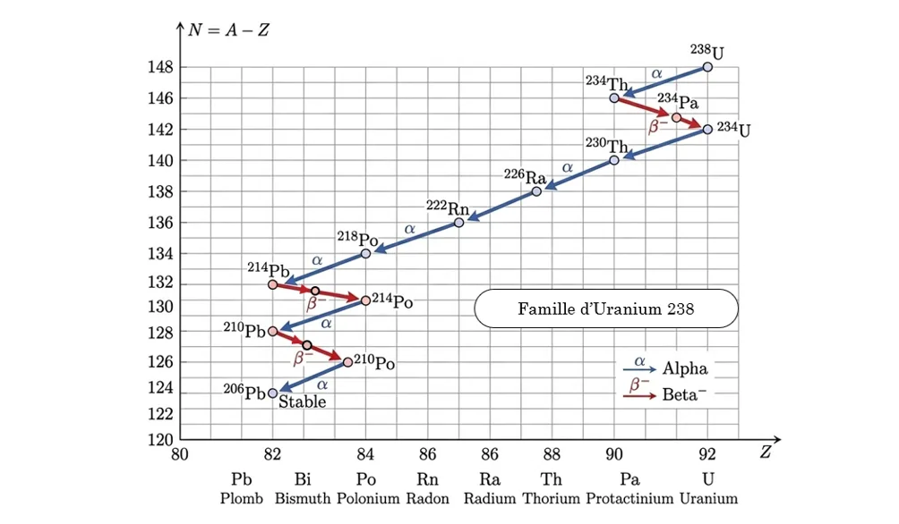 Graphe en escalier montrant la cascade d'une famille radioactive