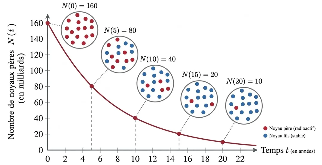 Courbe exponentielle décroissante du nombre de noyaux N(t)