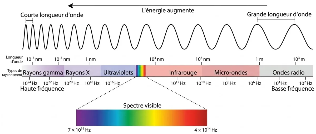 Les types d'ondes électromagnétiques composant le spectre