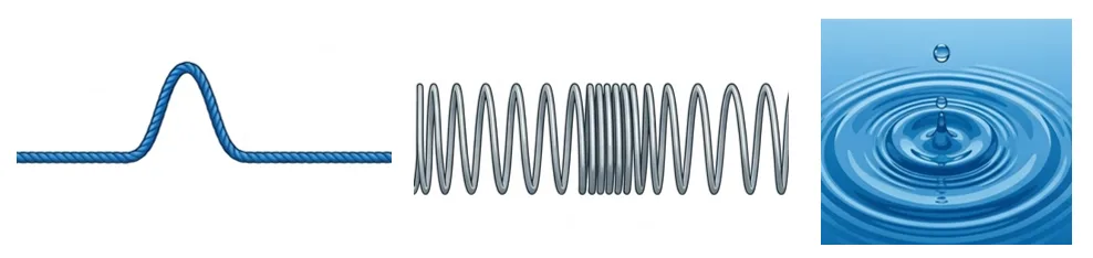 Expériences de propagation sur une corde, un ressort et la surface de l'eau