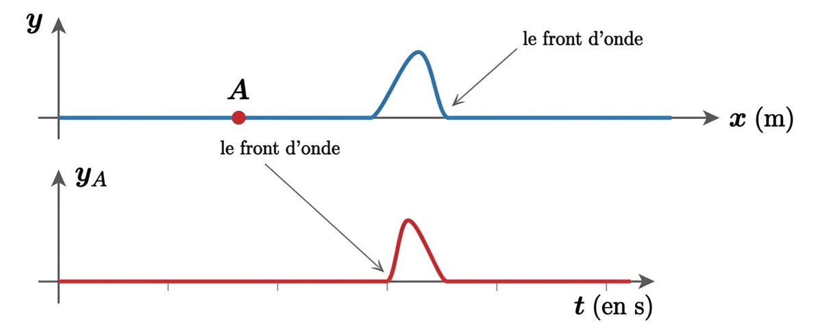 Comparaison entre le graphique y=f(x) aspect spatial et y=f(t) élongation temporelle