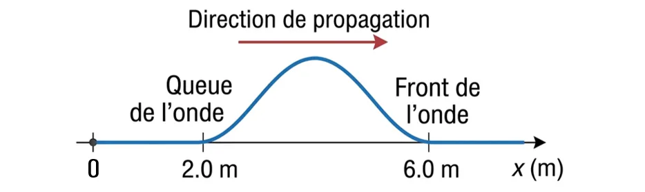 Onde sur une corde avec un axe gradué en mètres